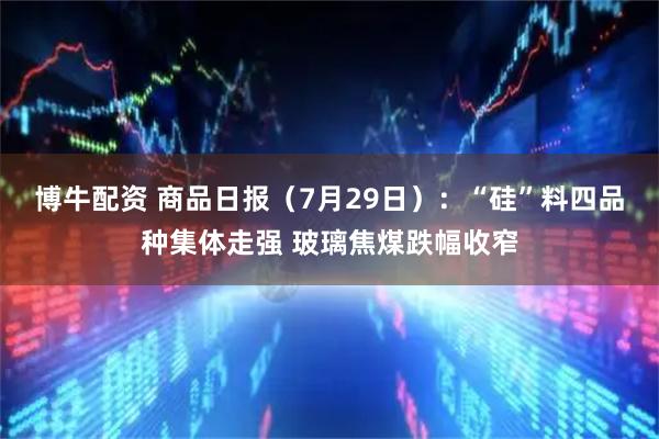 博牛配资 商品日报（7月29日）：“硅”料四品种集体走强 玻璃焦煤跌幅收窄