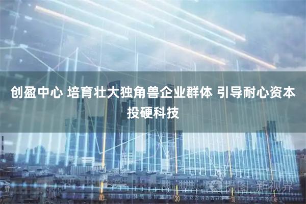 创盈中心 培育壮大独角兽企业群体 引导耐心资本投硬科技